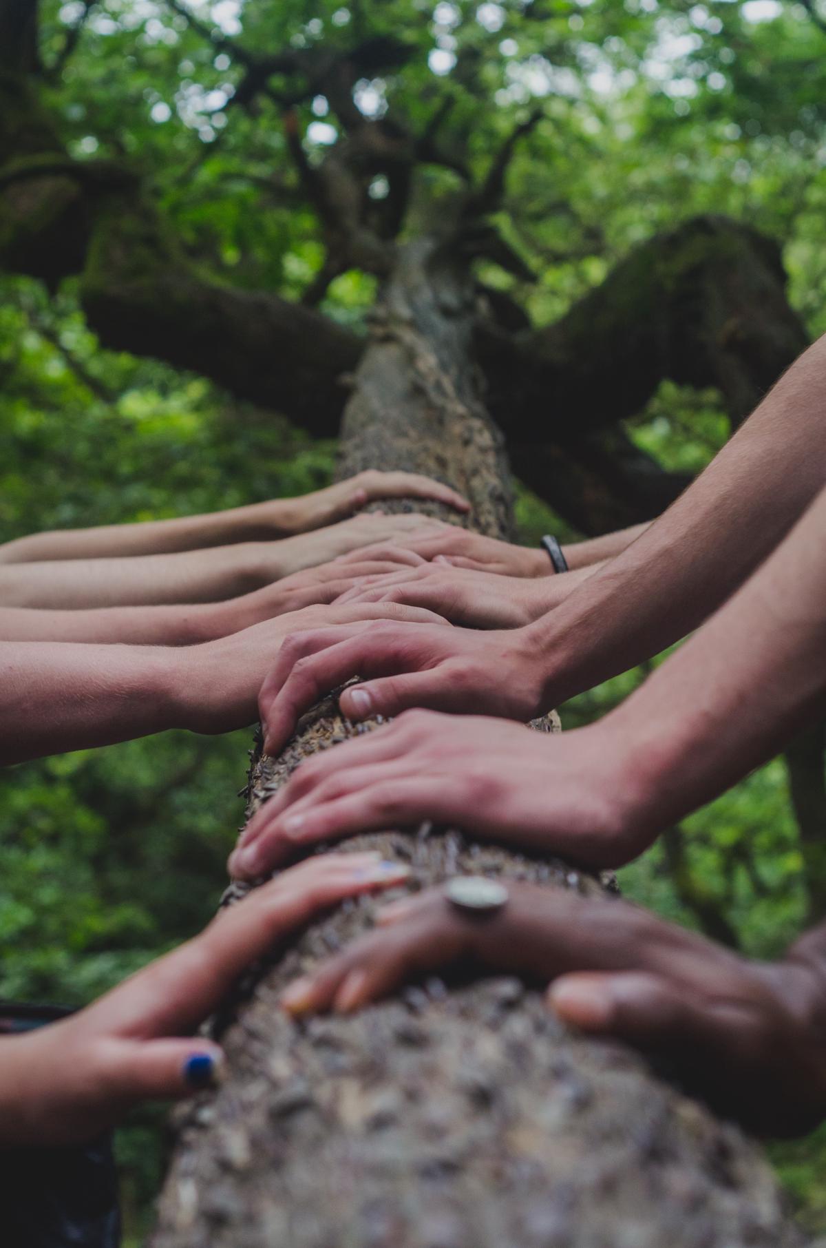 Image description: Illustration of people holding hands, symbolizing unity and support in legal defense funds.